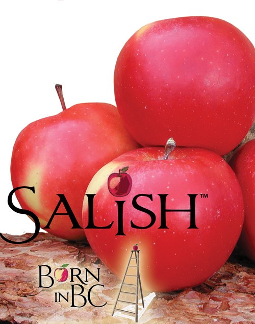 Apple "Salish" Potted (3 Gal)