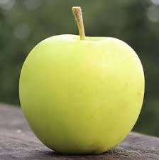 Apple "Orin"
