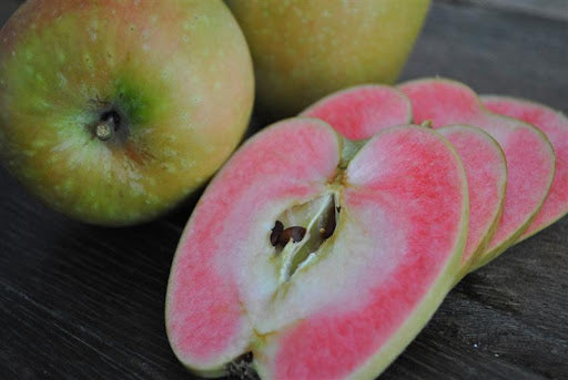 Apple "Airlie Red Flesh (Hidden Rose™)